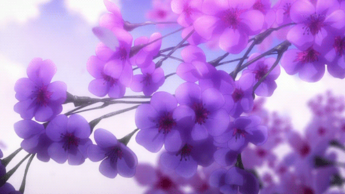 moving image of purple flowers with petals falling down elegantly