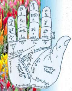 An Image of a palm with mapped out sections for palm reading